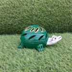 Green Turtle Small 1