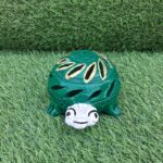 Green Turtle Small 1