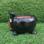 Pig Black 1