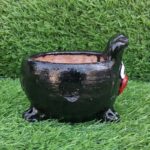 Pig Black 1