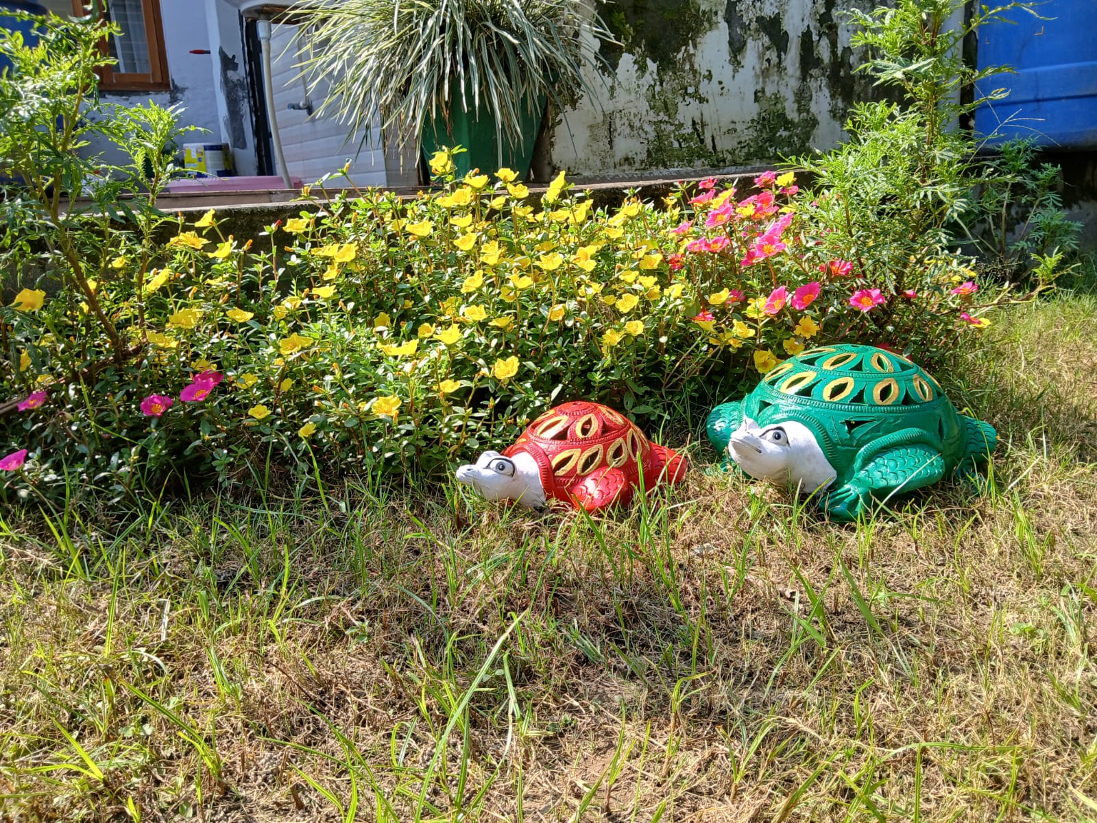 WhatsApp Image 2026-02-01 at 6.46.04 PM